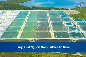 Truy Xuất Nguồn Gốc Carbon Ao Nuôi