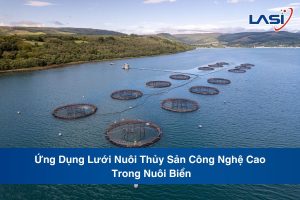 Ứng Dụng Lưới Nuôi Thủy Sản Công Nghệ Cao Trong Nuôi Biển