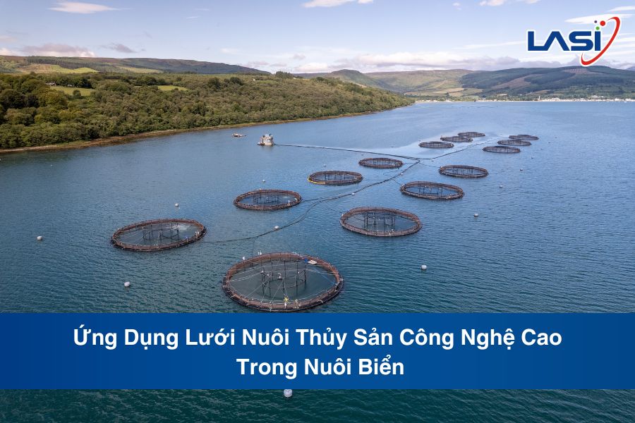 Ứng Dụng Lưới Nuôi Thủy Sản Công Nghệ Cao Trong Nuôi Biển