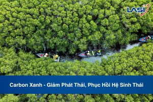 Carbon Xanh - Giảm Phát Thải, Phục Hồi Hệ Sinh Thái