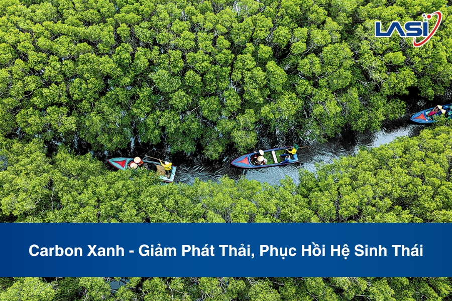 Carbon Xanh - Giảm Phát Thải, Phục Hồi Hệ Sinh Thái
