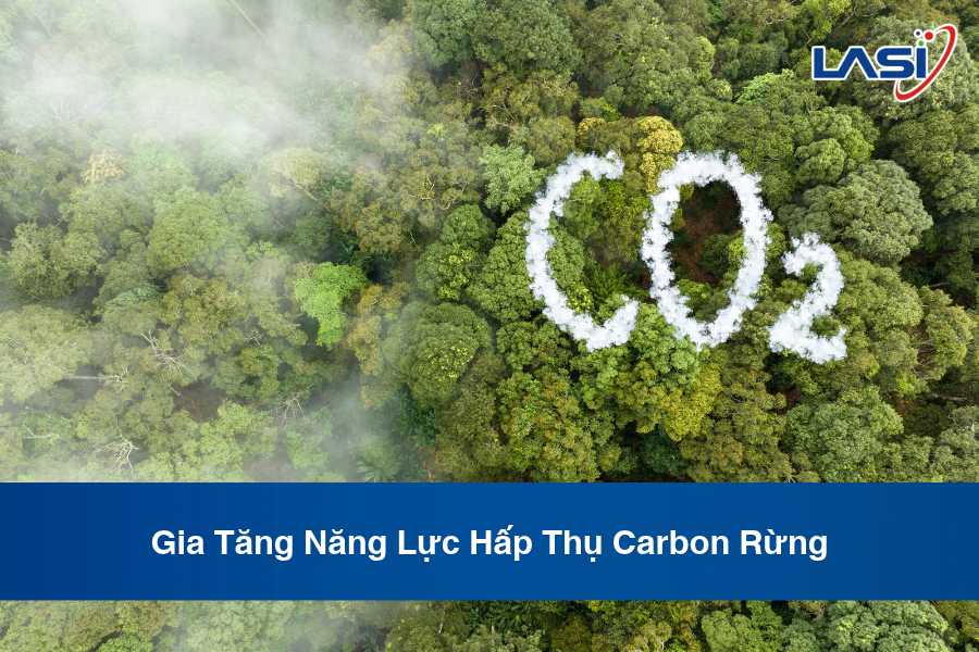 Gia Tăng Năng Lực Hấp Thụ Carbon Rừng