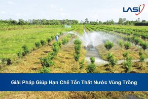 Giải Pháp Giúp Hạn Chế Tổn Thất Nước Vùng Trồng