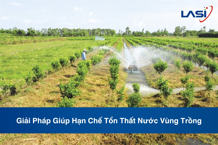 Giải Pháp Giúp Hạn Chế Tổn Thất Nước Vùng Trồng