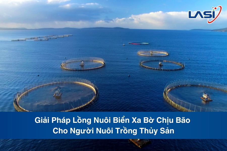 Giải Pháp Lồng Nuôi Biển Xa Bờ Chịu Bão Cho Người Nông Dân