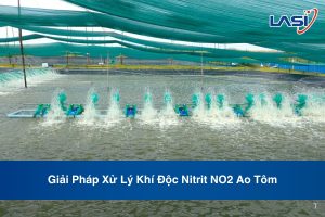 Giải Pháp Xử Lý Khí Độc Nitrit NO2 Ao Tôm