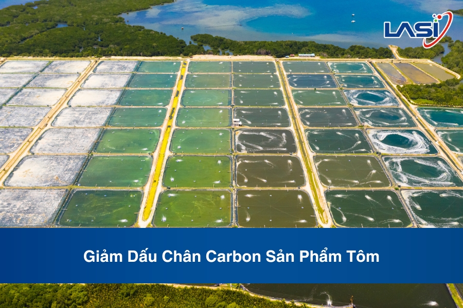 Giảm Dấu Chân Carbon Sản Phẩm Tôm