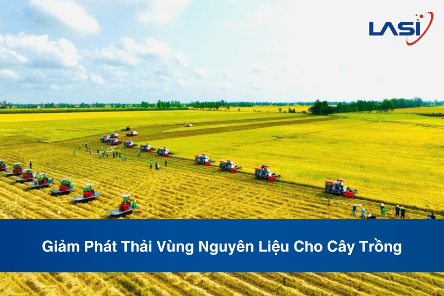 Giảm Phát Thải Vùng Nguyên Liệu Cho Cây Trồng