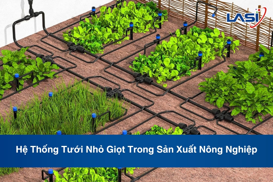 Hệ Thống Tưới Nhỏ Giọt Trong Sản Xuất Nông Nghiệp
