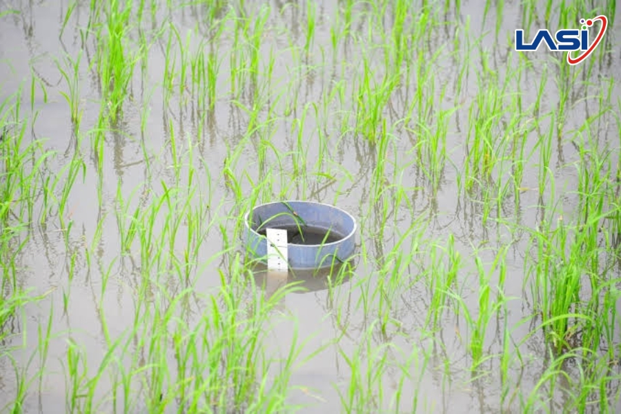 Phát Thải Khí Nhà Kính Là Gì? Nguyên Nhân Và Giải Pháp
