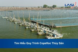 Tìm Hiểu Quy Trình Copefloc Thủy Sản