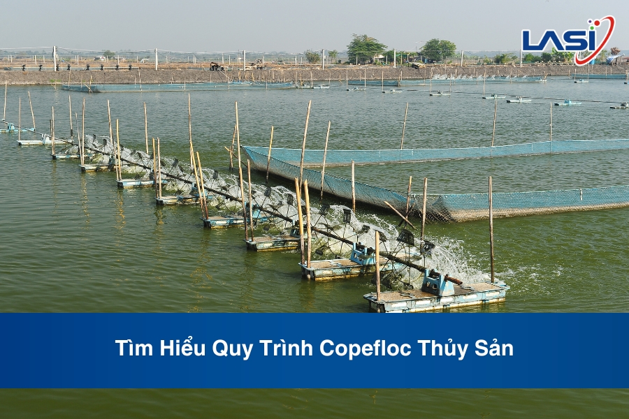 Tìm Hiểu Quy Trình Copefloc Thủy Sản