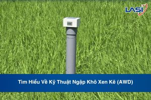 Tìm Hiểu Về Kỹ Thuật Ngập Khô Xen Kẽ (AWD)