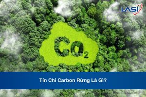Tín Chỉ Carbon Rừng Là Gì?