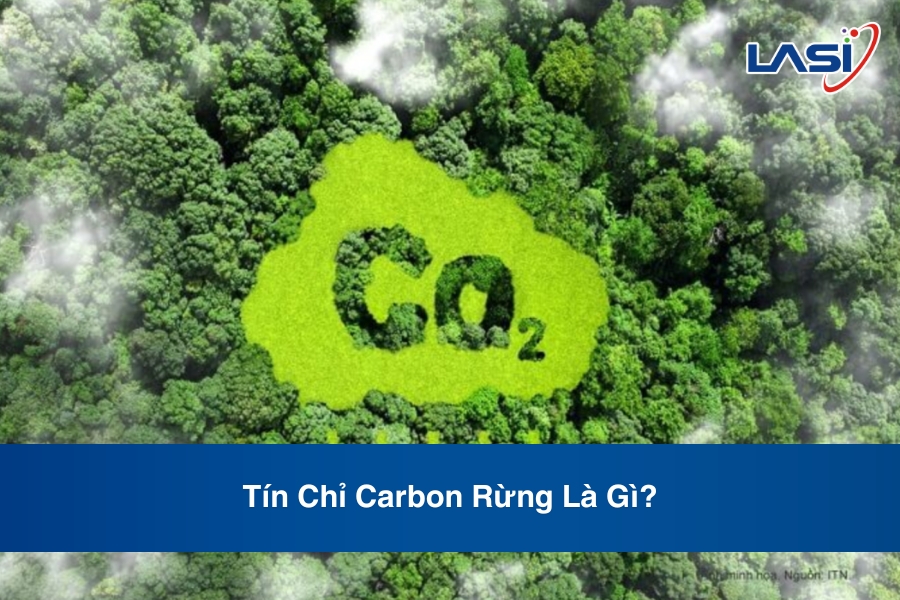 Tín Chỉ Carbon Rừng Là Gì?