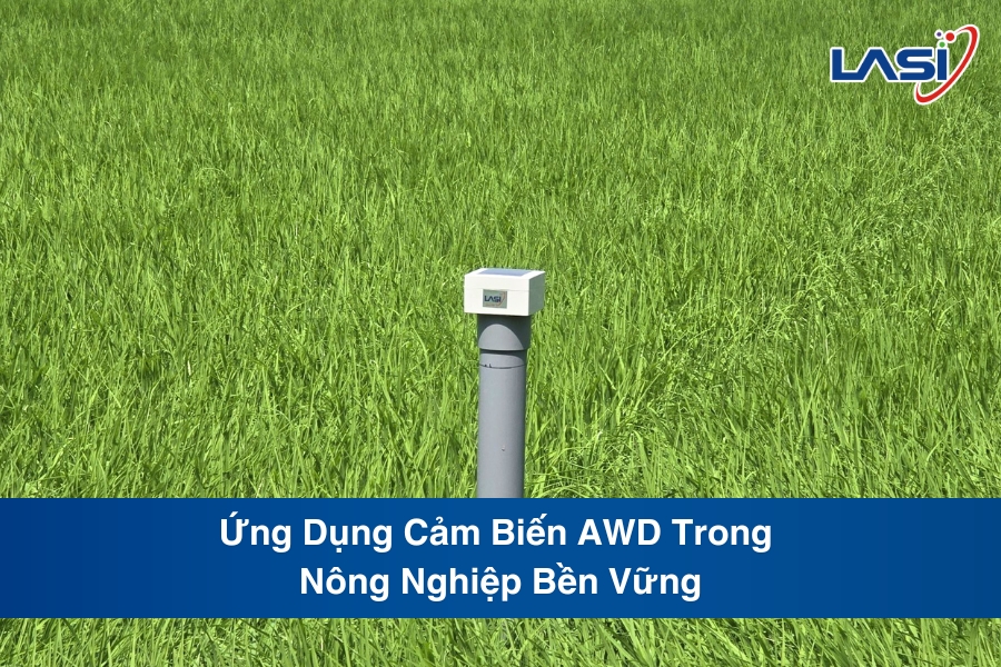 Ứng Dụng Cảm Biến AWD Trong Nông Nghiệp Bền Vững