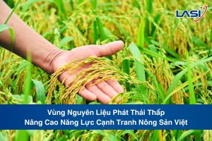 Vùng Nguyên Liệu Phát Thải Thấp: Nâng Cao Năng Lực Cạnh Tranh Nông Sản Việt