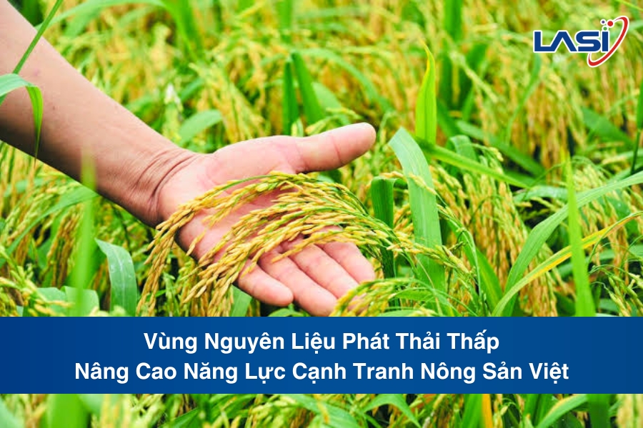 Vùng Nguyên Liệu Phát Thải Thấp: Nâng Cao Năng Lực Cạnh Tranh Nông Sản Việt